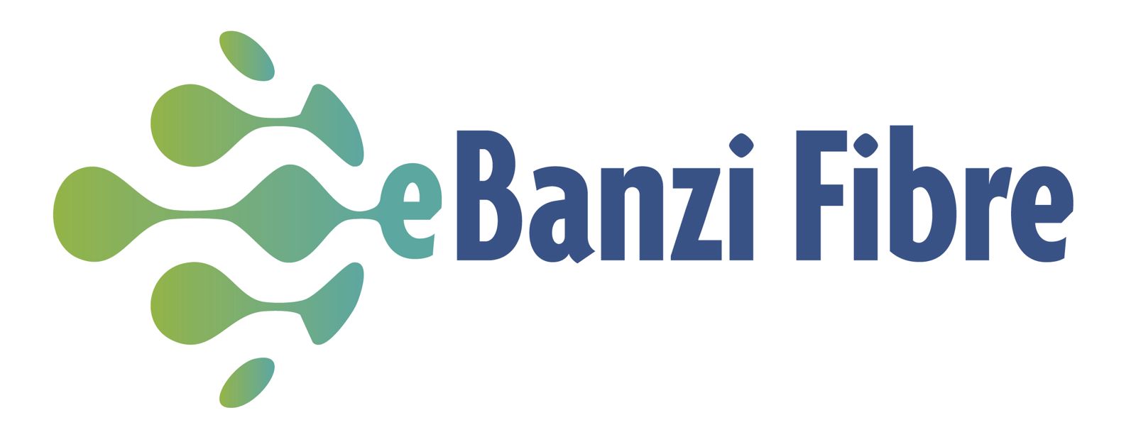 eBanzi Fibre logo